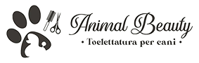 Animal Beauty